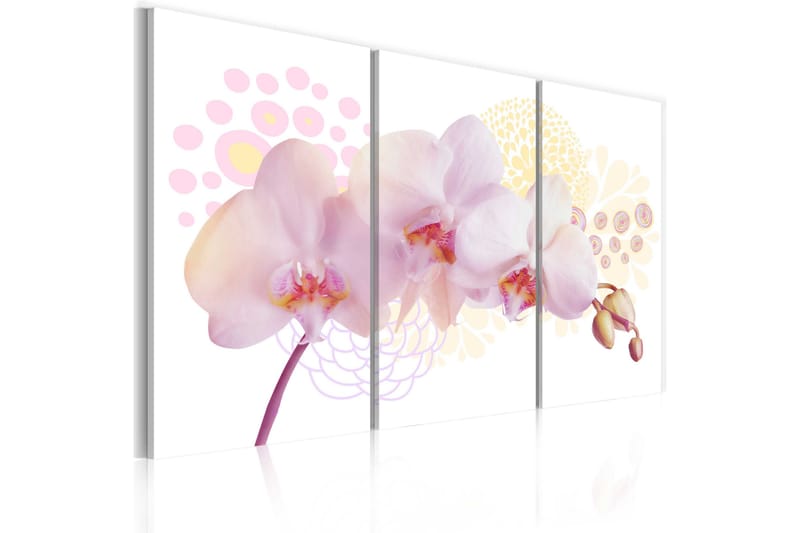 Billede White Lady 120x80, Artgeist sp. z o. o.