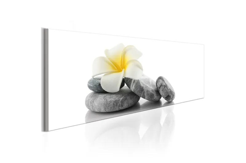 Billede White Lotus 120x40, Artgeist sp. z o. o.