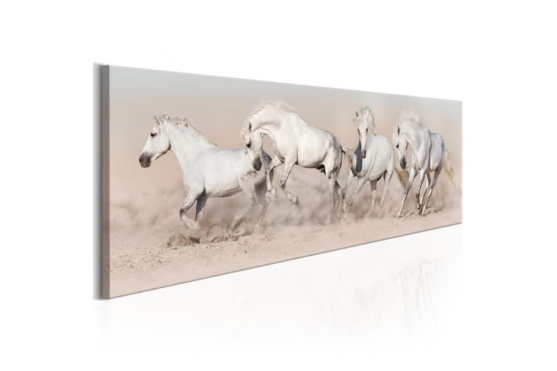 Billede Wild Beauty 150x50, Artgeist sp. z o. o.
