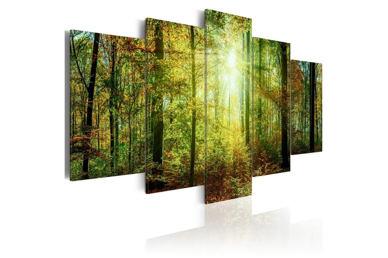 Billede Wild Forest 100x50, Artgeist sp. z o. o.