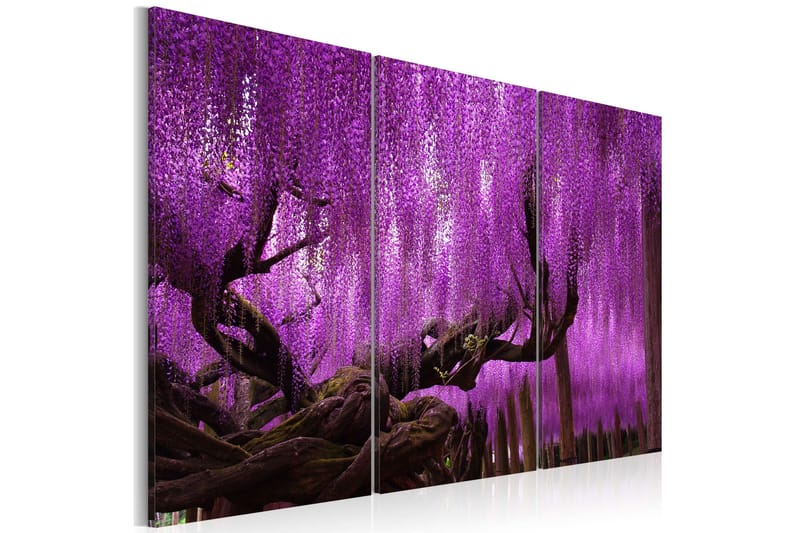 Billede Wisteria 90x60, Artgeist sp. z o. o.