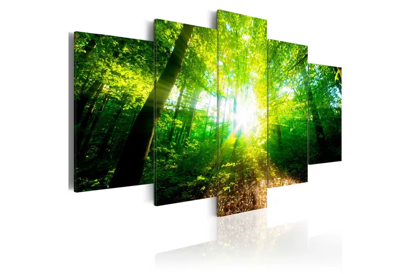 Billede Wonderful Morning 100x50, Artgeist sp. z o. o.