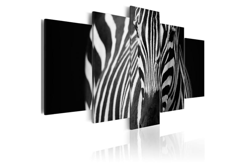 Billede Zebra Look 100x50, Artgeist sp. z o. o.