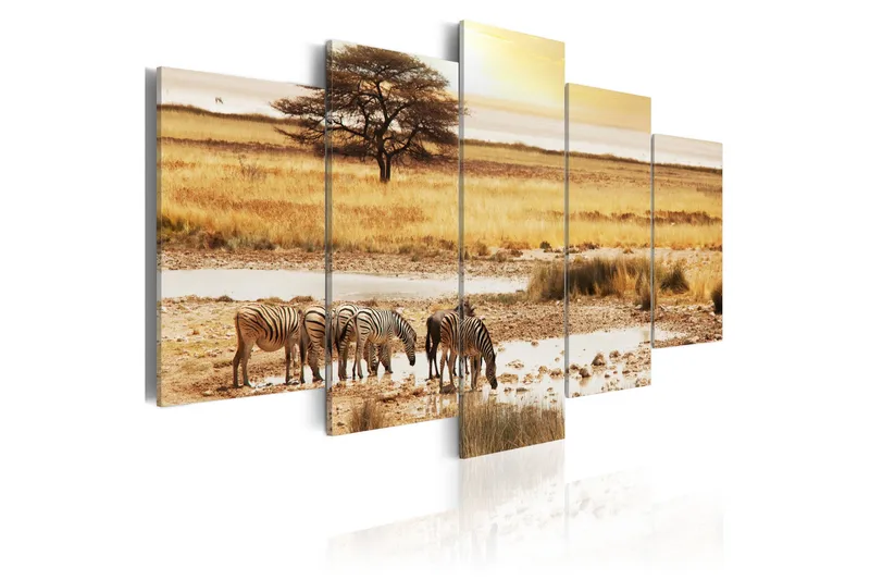 Billede Zebras On A Savannah 100x50, Artgeist sp. z o. o.