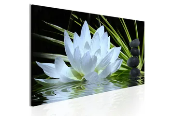 Billede Zen Garden 1 Part Narrow 150x50