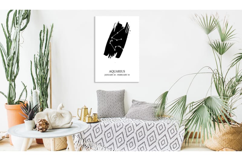 Billede Zodiac Signs: Aquarius (1 del) Lodret 40x60, Artgeist sp. z o. o.