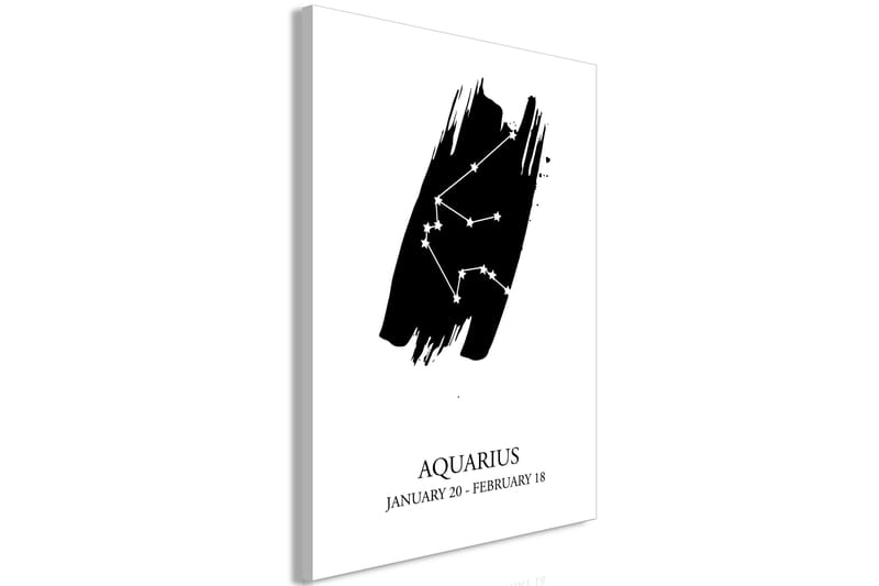 Billede Zodiac Signs: Aquarius (1 del) Lodret 60x90 - Artgeist sp. z o. o. - Boligtilbehør - Billeder & kunst - Billeder på lærred