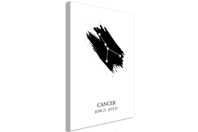 Billede Zodiac Signs: Cancer (1 del) Lodret 60x90 - Artgeist sp. z o. o. - Boligtilbehør - Billeder & kunst - Billeder på lærred