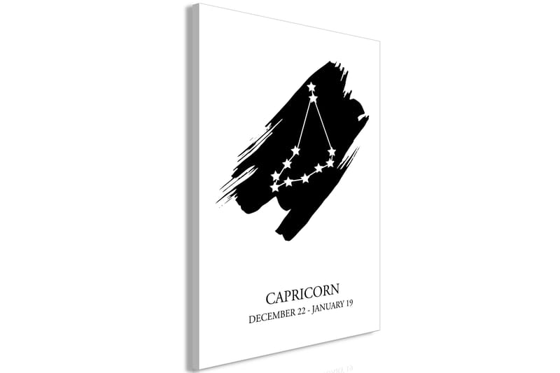 Billede Zodiac Signs: Capricorn (1 del) Lodret 40x60 - Artgeist sp. z o. o. - Billeder på lærred