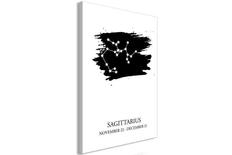 Billede Zodiac Signs: Sagittarius (1 del) Lodret 40x60 - Artgeist sp. z o. o. - Billeder på lærred