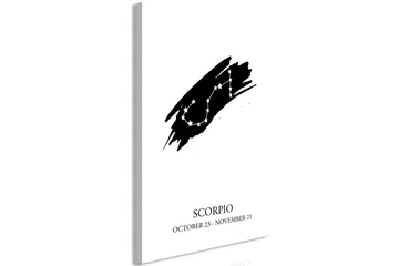 Billede Zodiac Signs: Scorpio (1 del) Lodret 60x90 - Artgeist sp. z o. o. - Boligtilbehør - Billeder & kunst - Billeder på lærred