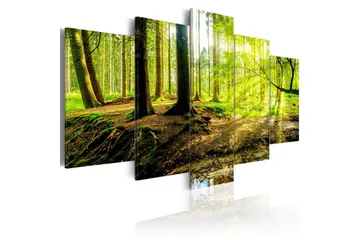 Billede Poetry Of A Forest 200x100 - Artgeist sp. z o. o. - Boligtilbehør - Billeder & kunst - Billeder på lærred