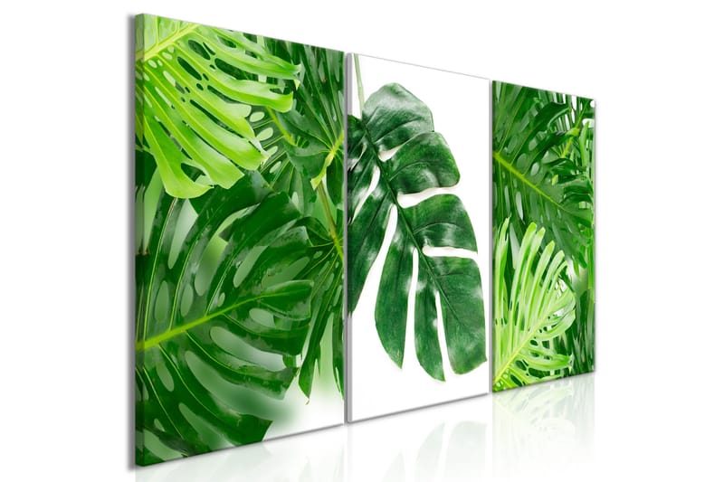 Billede Palm Leaves 3 Parts 120x60, Artgeist sp. z o. o.
