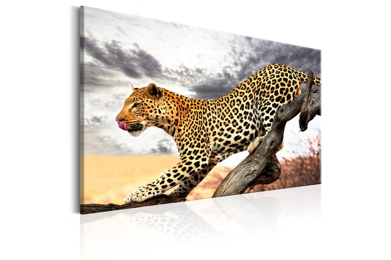 Billede Predatory Stare 60x40 - Artgeist sp. z o. o. - Boligtilbehør - Billeder & kunst - Billeder på lærred