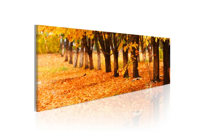 Billede Park Covered With Golden Leaves 120x40 - Artgeist sp. z o. o. - Boligtilbehør - Billeder & kunst - Billeder på lærred