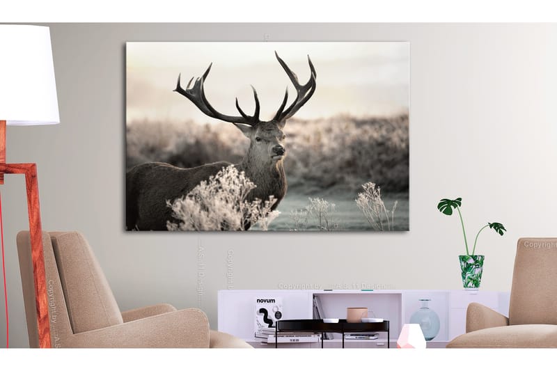 Billede Powerful Horns 120x80, Artgeist sp. z o. o.