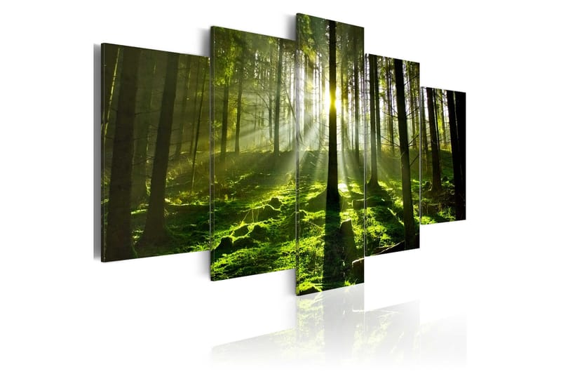 Billede Peace Of Mind 200x100, Artgeist sp. z o. o.