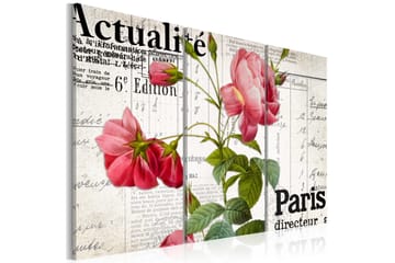 Billede Paris Directeur 60x40