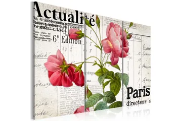 Billede Paris Directeur 60x40