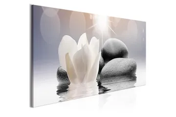 Billede Pebbles In Water 1 Part Narrow 150x50 - Artgeist sp. z o. o. - Boligtilbehør - Billeder & kunst - Billeder på lærred