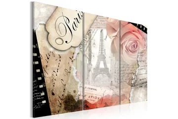 Billede Paris centrale ... 90x60