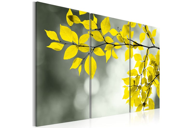 Blackboard sprig 90x60, Artgeist sp. z o. o.