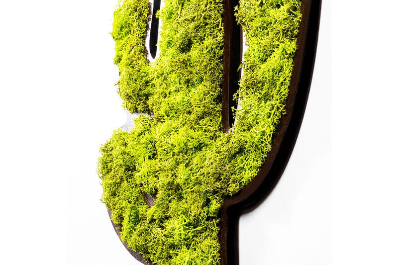 Cactus Canvasbillede - Grøn/Hvid - Boligtilbehør - Billeder & kunst - Billeder på lærred