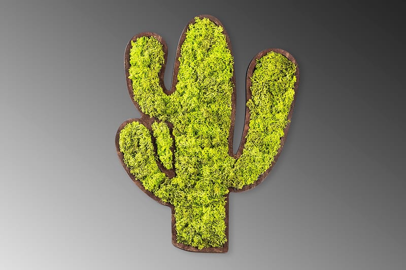 Cactus Canvasbillede - Grøn/Hvid - Boligtilbehør - Billeder & kunst - Billeder på lærred