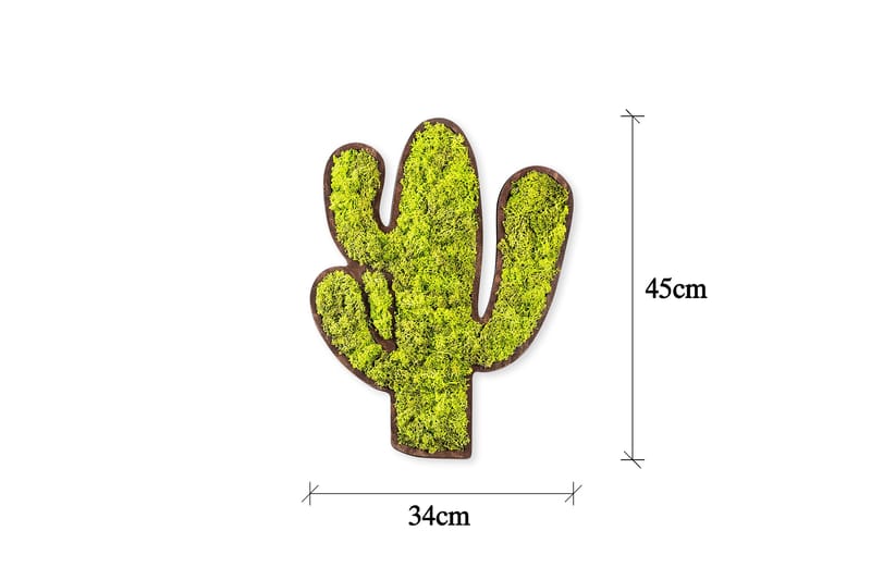 Cactus Canvasbillede - Grøn/Hvid - Boligtilbehør - Billeder & kunst - Billeder på lærred