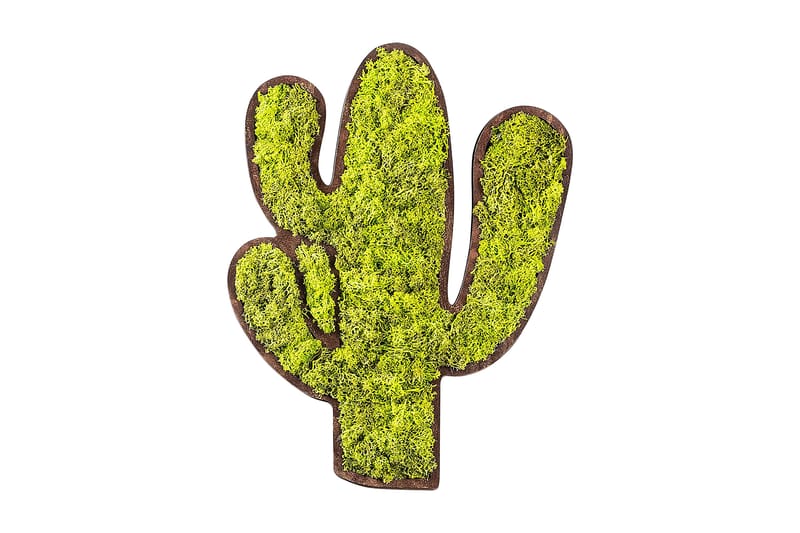 Cactus Canvasbillede, Grøn/Hvid