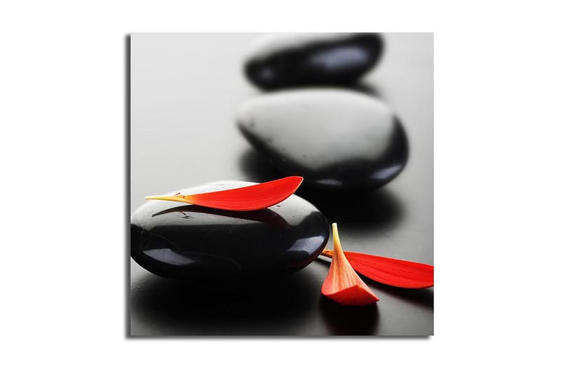 Canvas Blomster Flerfarvet, 44x54 cm