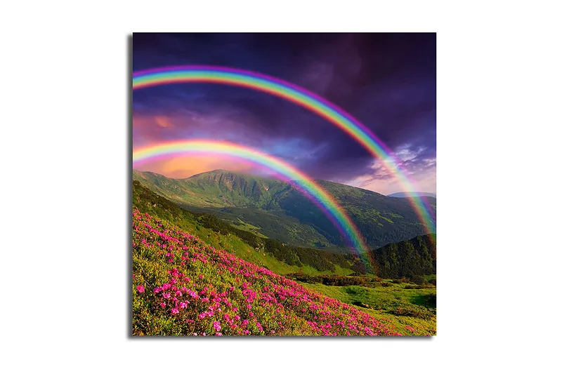 Canvas Blomster Flerfarvet, 44x54 cm