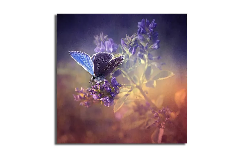 Canvas Blomster Flerfarvet, 44x54 cm