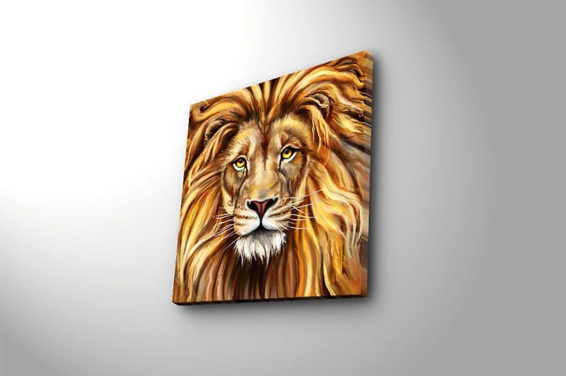 Canvas Flerfarvet - 44x54 cm - Boligtilbehør - Billeder & kunst - Billeder på lærred