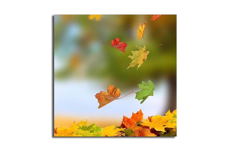 Canvas Flerfarvet - 44x54 cm - Boligtilbehør - Billeder & kunst - Billeder på lærred