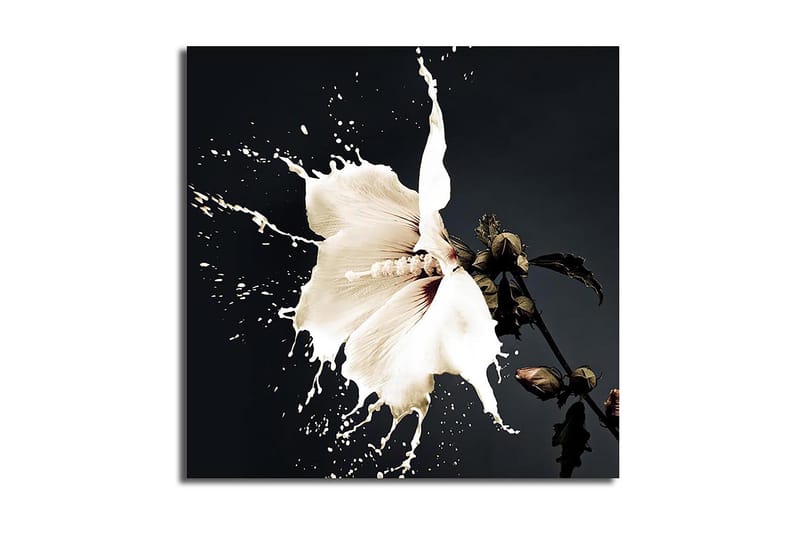 Canvas Flerfarvet - 44x54 cm - Boligtilbehør - Billeder & kunst - Billeder på lærred