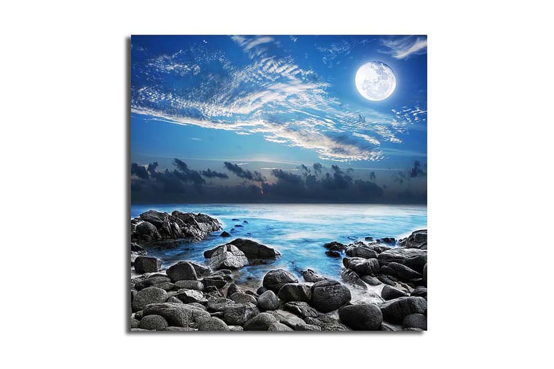 Canvas Flerfarvet - 44x54 cm - Boligtilbehør - Billeder & kunst - Billeder på lærred