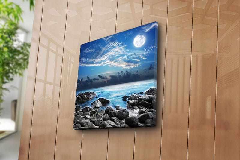 Canvas Flerfarvet - 44x54 cm - Boligtilbehør - Billeder & kunst - Billeder på lærred