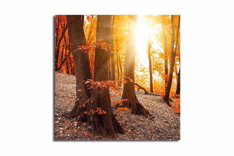 Canvas Flerfarvet - 44x54 cm - Boligtilbehør - Billeder & kunst - Billeder på lærred