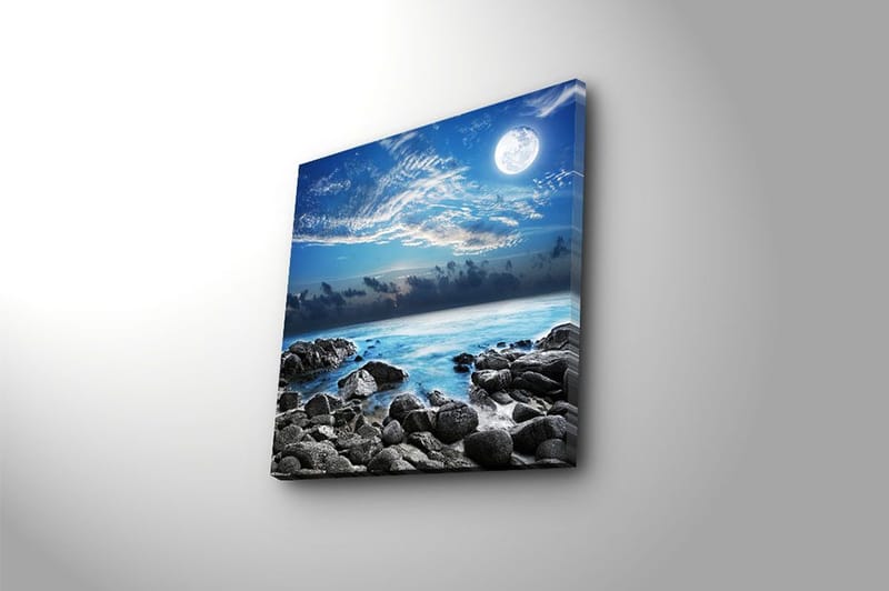 Canvas Flerfarvet - 44x54 cm - Boligtilbehør - Billeder & kunst - Billeder på lærred