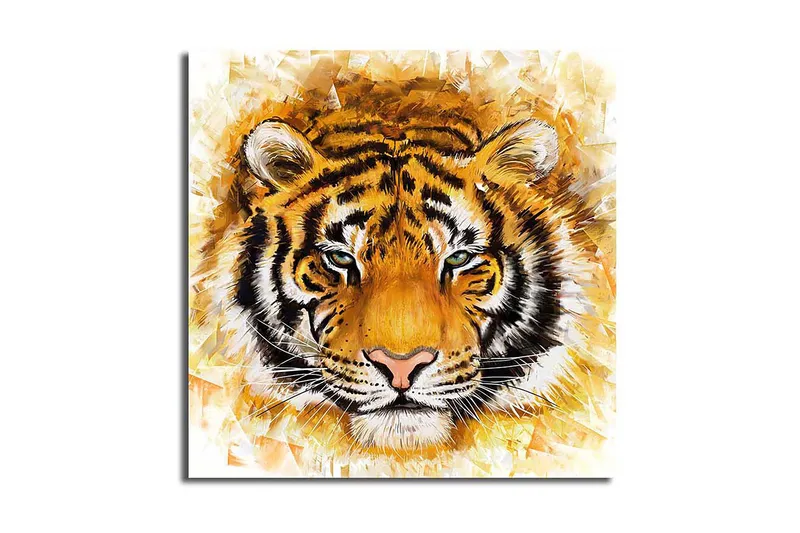 Canvas Flerfarvet, 44x54 cm