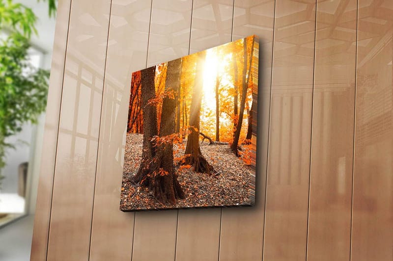 Canvas Flerfarvet - 44x54 cm - Boligtilbehør - Billeder & kunst - Billeder på lærred