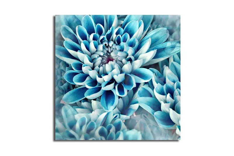 Canvas Flerfarvet, 44x54 cm