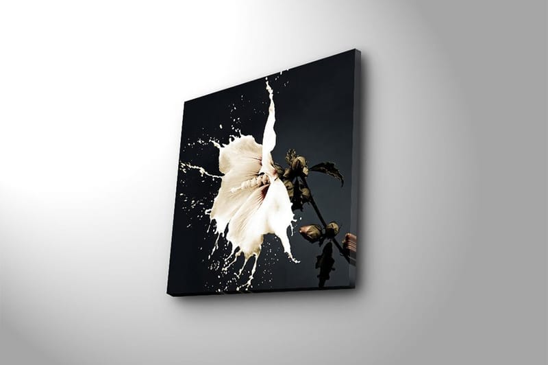 Canvas Flerfarvet - 44x54 cm - Boligtilbehør - Billeder & kunst - Billeder på lærred