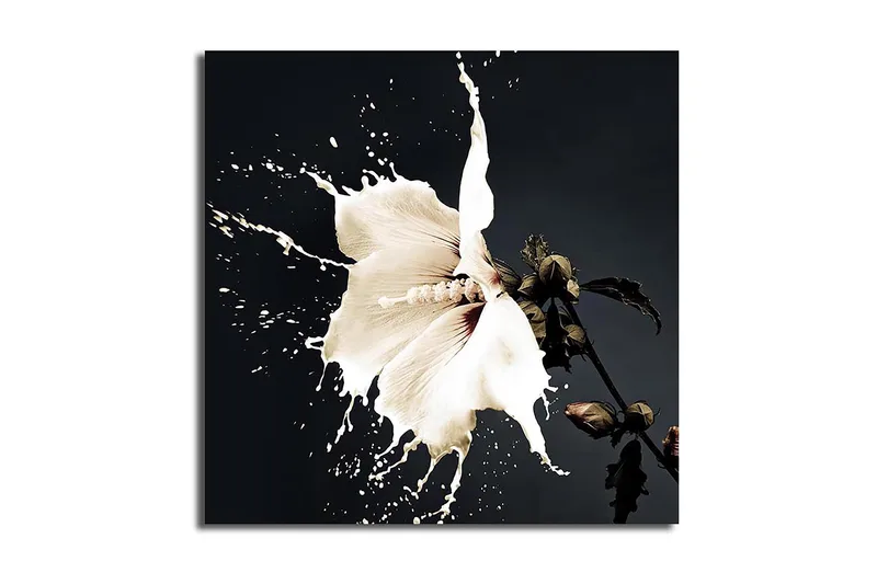 Canvas Flerfarvet, 44x54 cm