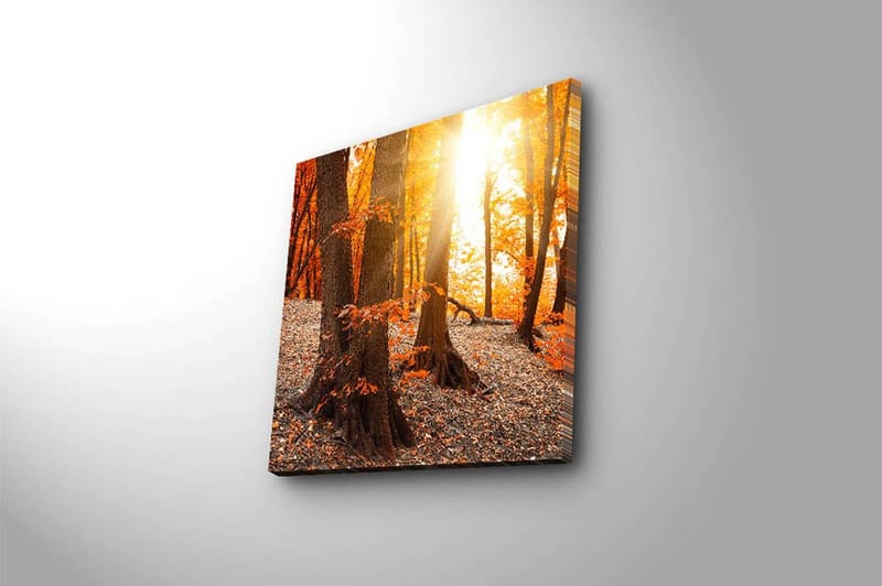 Canvas Flerfarvet - 44x54 cm - Boligtilbehør - Billeder & kunst - Billeder på lærred