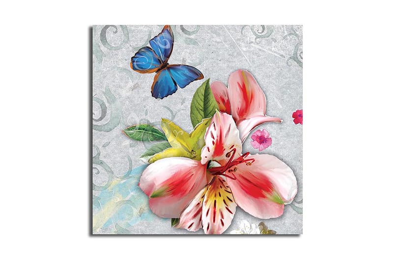 Canvas Flerfarvet, 44x54 cm