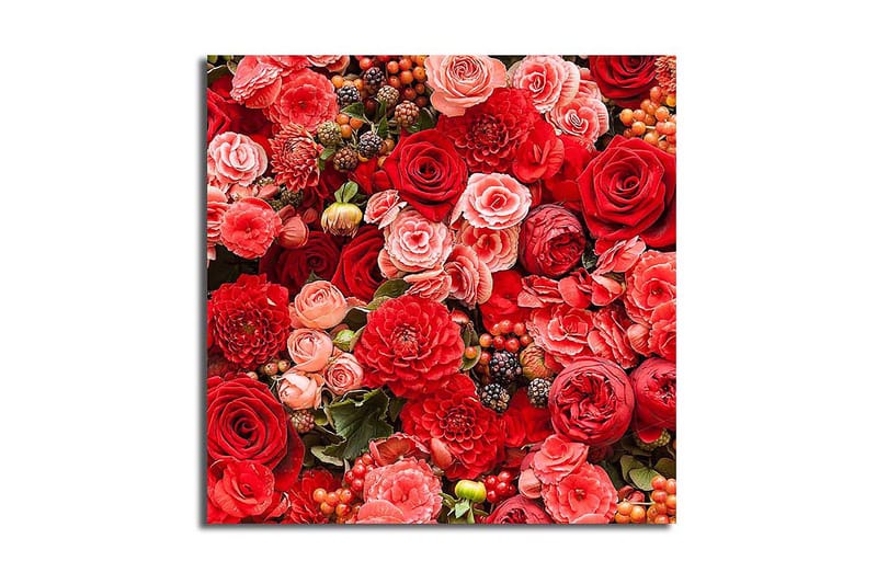 Canvas Flerfarvet, 44x54 cm