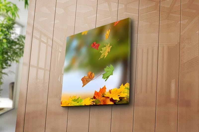 Canvas Flerfarvet - 44x54 cm - Boligtilbehør - Billeder & kunst - Billeder på lærred