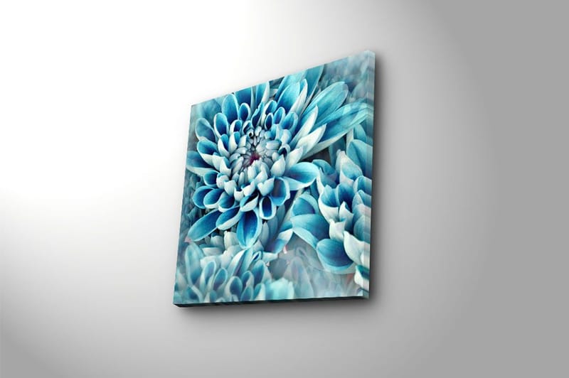 Canvas Flerfarvet - 44x54 cm - Boligtilbehør - Billeder & kunst - Billeder på lærred